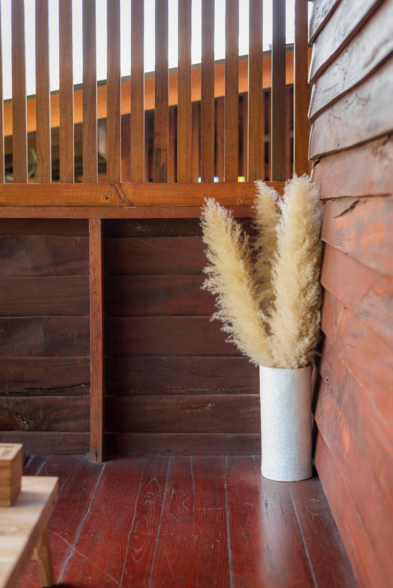 Paddy Fields Haven - Natures Nest Pai Exterior foto