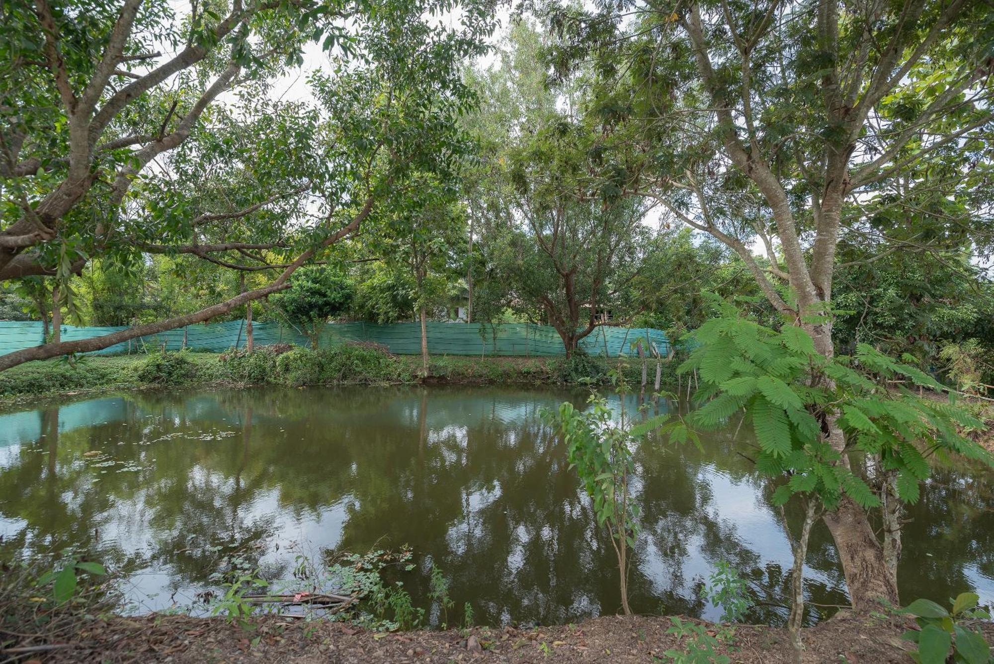 Paddy Fields Haven - Natures Nest Pai Exterior foto