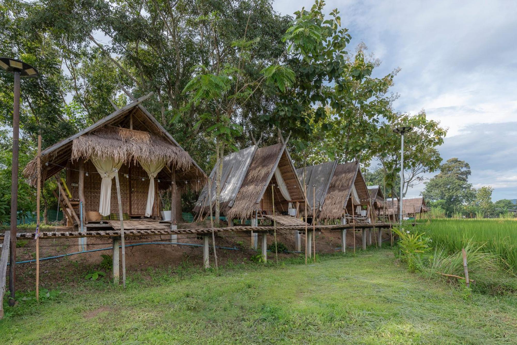 Paddy Fields Haven - Natures Nest Pai Exterior foto