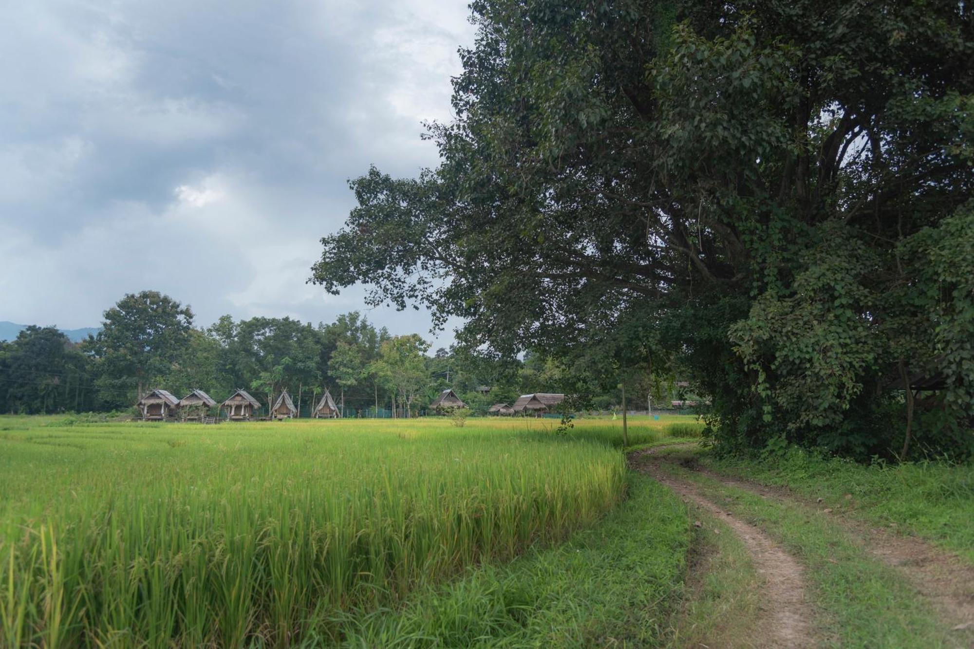 Paddy Fields Haven - Natures Nest Pai Exterior foto