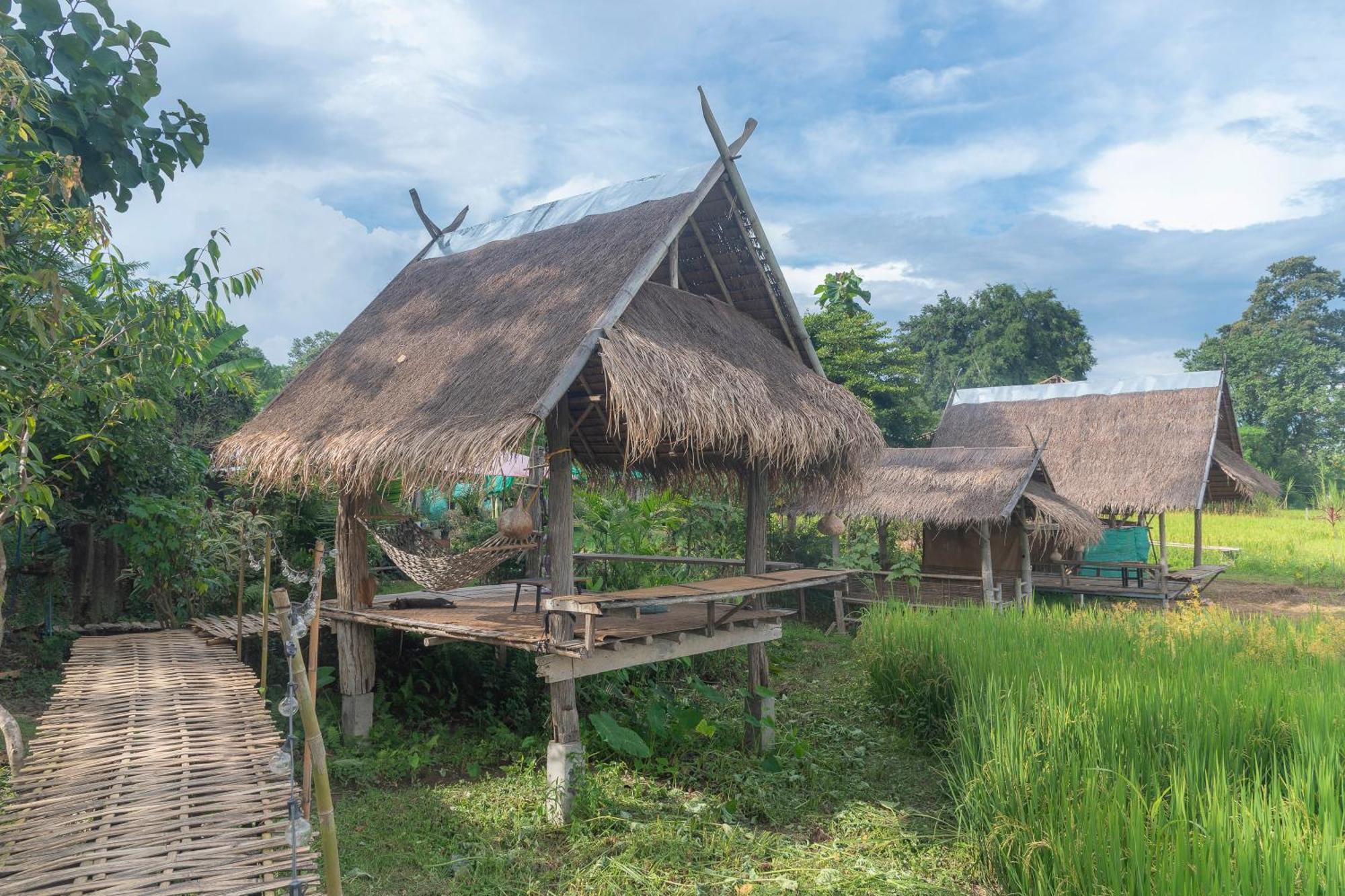 Paddy Fields Haven - Natures Nest Pai Exterior foto