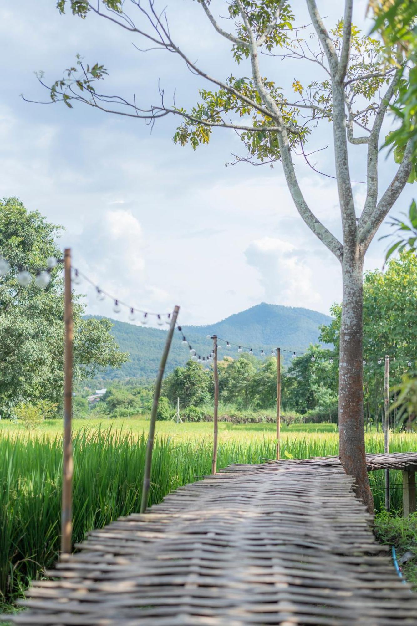 Paddy Fields Haven - Natures Nest Pai Exterior foto